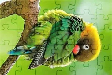 natural jigsaw puzzle