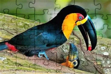 פאזל של natural
