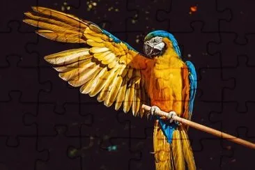 Imagem jigsaw puzzle