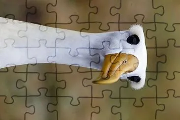 natural jigsaw puzzle