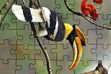 natural jigsaw puzzle