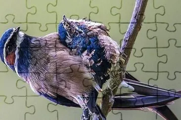 פאזל של natural