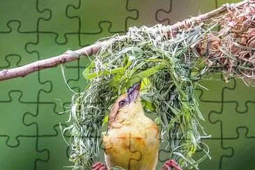 natural jigsaw puzzle
