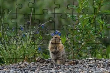 Imagem jigsaw puzzle