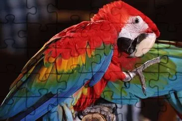 Imagem jigsaw puzzle