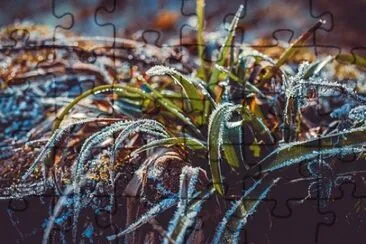 Imagem jigsaw puzzle