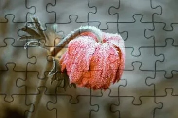 OK jigsaw puzzle