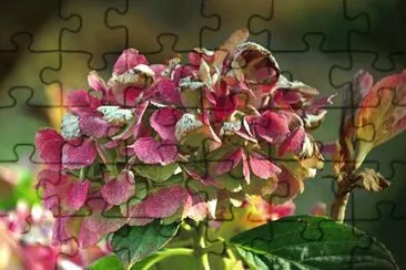OK jigsaw puzzle