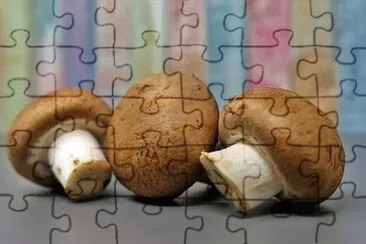 Imagem jigsaw puzzle