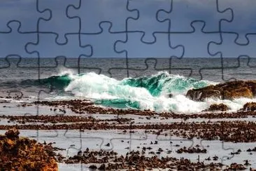 Imagem jigsaw puzzle