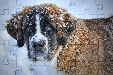 Imagem jigsaw puzzle