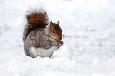 Imagem jigsaw puzzle