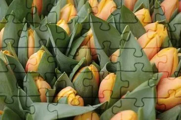 OK jigsaw puzzle