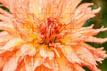 OK jigsaw puzzle
