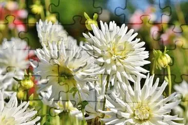 OK jigsaw puzzle