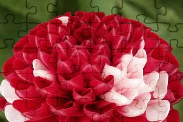 OK jigsaw puzzle