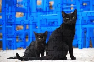 Imagem jigsaw puzzle