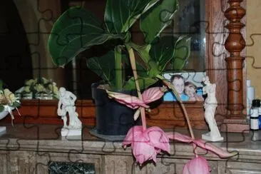 fleurs jardinier jigsaw puzzle