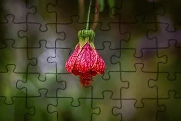 Imagem jigsaw puzzle