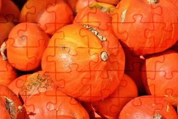 Imagem jigsaw puzzle