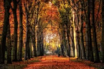 Imagem jigsaw puzzle