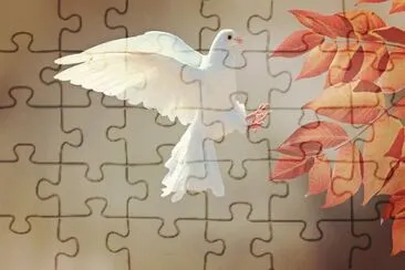 Imagem jigsaw puzzle