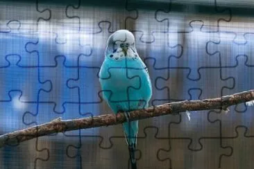 Imagem jigsaw puzzle