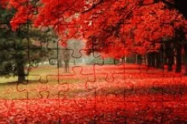 Imagem jigsaw puzzle