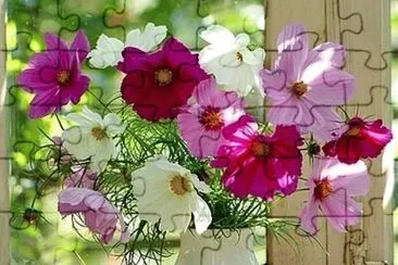 Bunt