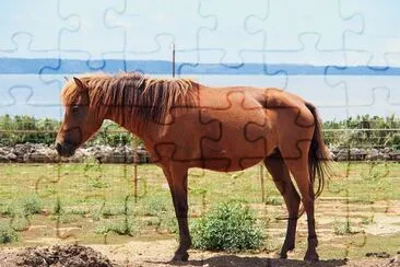 Miyako jigsaw puzzle