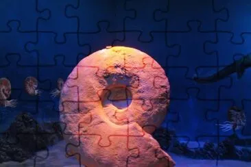  jigsaw puzzle