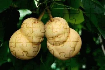 Imagem jigsaw puzzle