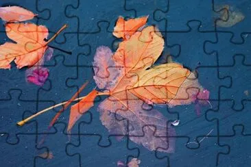 Imagem jigsaw puzzle