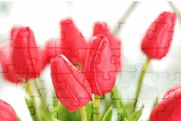 OK jigsaw puzzle