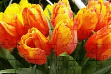 OK jigsaw puzzle
