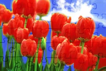 OK jigsaw puzzle