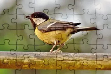 Imagem jigsaw puzzle