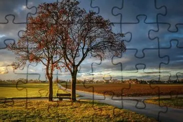  jigsaw puzzle