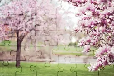  jigsaw puzzle