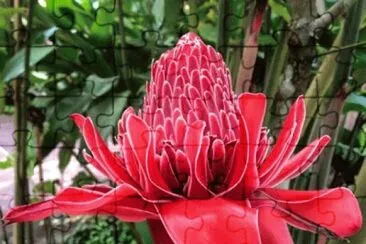 Imagem jigsaw puzzle