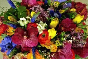 Imagem jigsaw puzzle