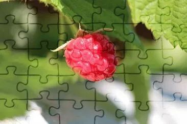 Imagem jigsaw puzzle