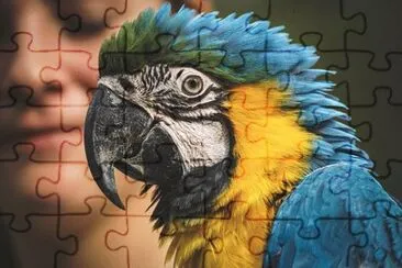 Imagem jigsaw puzzle