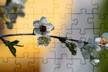 Imagem jigsaw puzzle