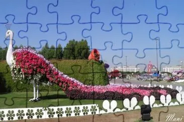 ×¤×¨×—×™× jigsaw puzzle