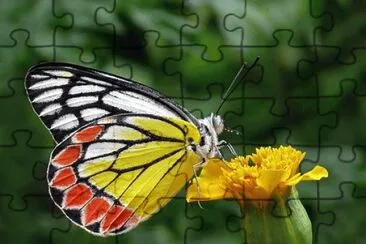 OK jigsaw puzzle