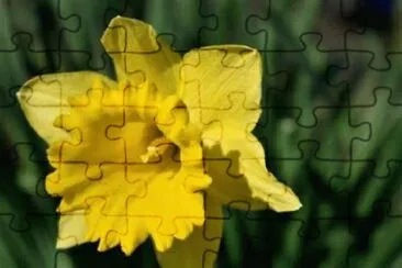 OK jigsaw puzzle
