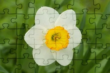 OK jigsaw puzzle