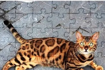 natural jigsaw puzzle