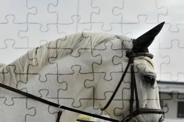 Imagem jigsaw puzzle